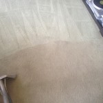 Carpet-Cleaning-Novato