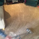 Dirty-Carpet-Cleaned-Novato