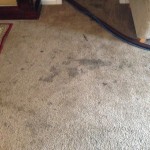 Dirty-Carpet-Novato-CA