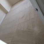 Novato-Carpet-Clean-room