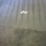 Novato-Carpet-Cleaning-Carpet-Cleaning
