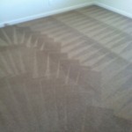 Novato-Carpet-Cleaning-Wall-To-Wall