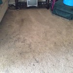 Novato-Dirty-Carpet