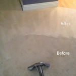 Steam-Carpet-Cleaning-Novato